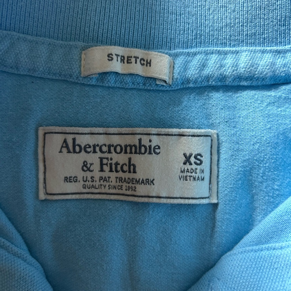 Abercrombie & Fitch Blue Stretch Shirt